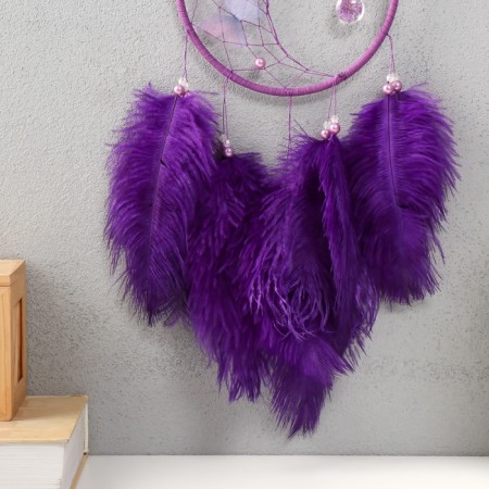 Dreams "Butterflies and ostrich feathers" purple d = 15 cm 50x15 cm-2