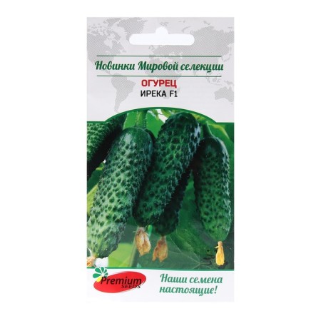 Seeds of cucumber "Ireca F1 (Rijder Seeds)", 5 pcs.