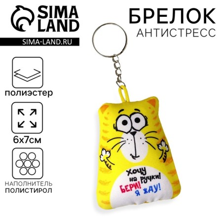 Antistress keychain “I want pens!”, Cat, 6x7 cm