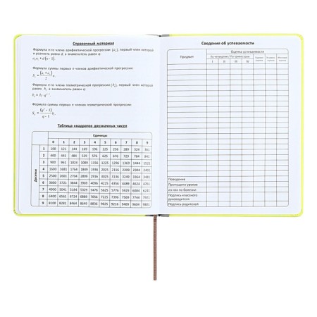 The universal diary for grades 1-11 is an excellent student, a solid cover made of artificial leather, silkography, lies, 48 ​​sheets, light green-13
