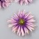 Budon on the leg for decoration "Georgin needle lilac-violet" d = 7.5 cm