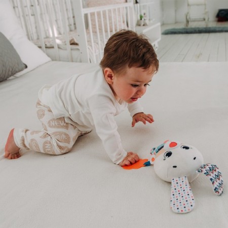 Musical toy "Bunny Lucky"-1