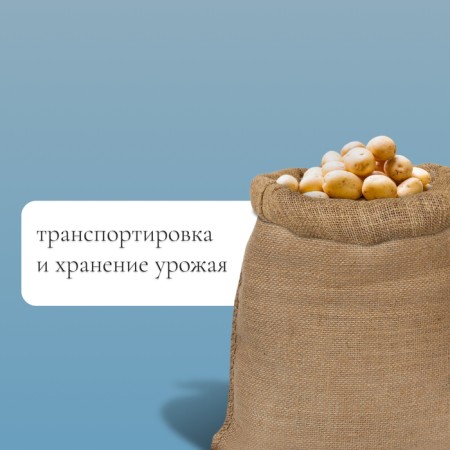 Jute bag, 40 × 60 cm, density 45 × 45 threads, without ties, Greengo-1