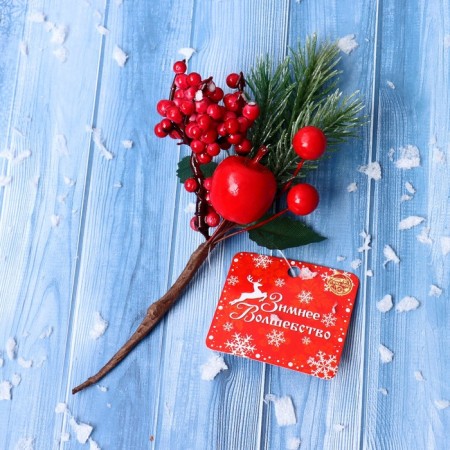 Decor "Winter Dreams" apple red viburnum, 17 cm-2