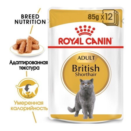 Wet RC food for British cats, sauce, spider, 85 g-1