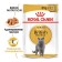 Wet RC food for British cats, sauce, spider, 85 g
