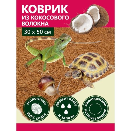 Garden Show Coconut fiber rug, 30x50 cm-3