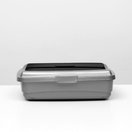 The tray is large with the side of Atlantis Lux, 43 x 33 x 12.5 cm, silver, silver,-1