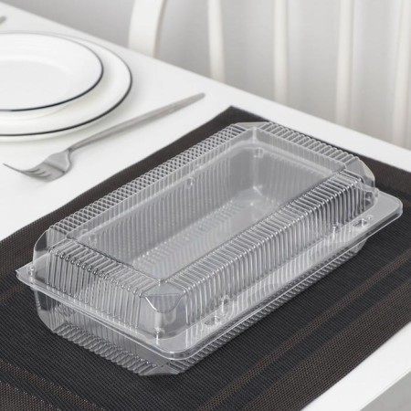 A plastic disposable container with an insoluble lid U-98, 26.6 × 15.2 × 8 cm, internal 24.3 × 12 × 7.4 cm, the color is transparent