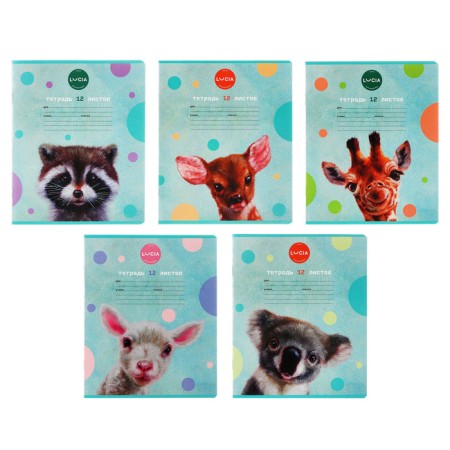 Notebook 12 sheets in the cage "Learn yourself!", Cover coated cardboard, block 65 g/m2, mix