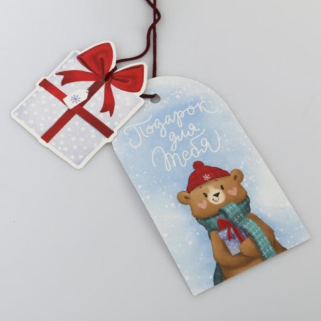 Gift bag “Gift for you”, 20 x 30 cm +/- 1.5 cm, New Year