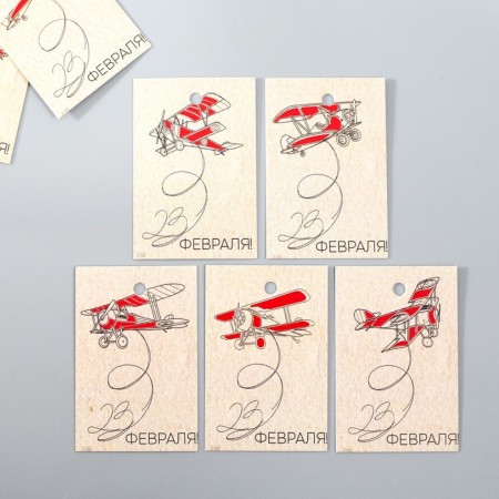 Cardboard "Airplanes" set 10 pcs (5 types) 4x6 cm
