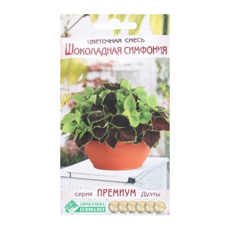 Flower seeds Flower mixture chocolate symphony, 4 pcs
