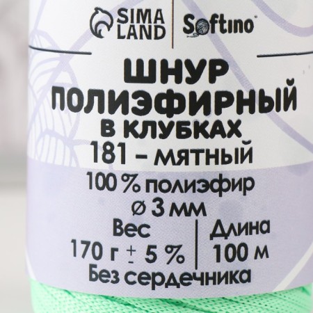 PLOOK CHLEM 3 mm polyester in balls 100m/170g (+/- 5%) Mint-181-3