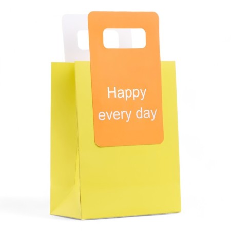 Gift package with a trimmed handle of 18 x 23 x 9 cm, lime