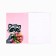 Notepad Coloring Painting 12 sheets, 130x180 "Raccoon"
