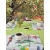 Kitchen kit Flowers: tablecloth 110x140 cm, stands 35x45 cm - 4 pcs