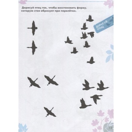 Birds-3