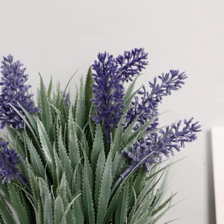 Bonsai in the pots "Muscari" 10x22 cm, mix-1