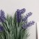 Bonsai in the pots "Muscari" 10x22 cm, mix