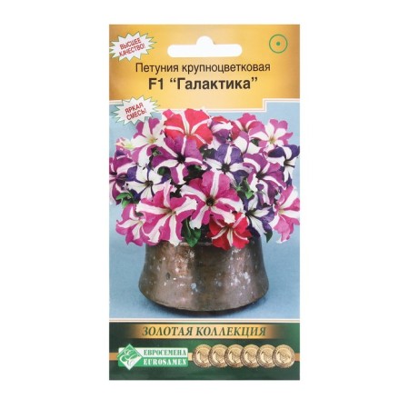 Flowers of Petunia flowers large -flowered galaxy F1, mixture, 10 dragees