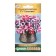 Flowers of Petunia flowers large -flowered galaxy F1, mixture, 10 dragees