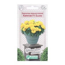 Flower seeds marigolds erect captain F1 Ello, 10 pcs