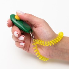 Clider for training dogs with a bracelet on the hand, green