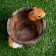 Figure pot "Squirrel in a pot of paw out" 15x14 cm