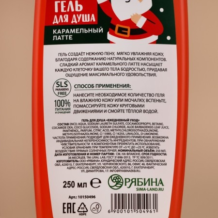 Shower gel Winter Melody, 250 ml, aroma of caramel latte, Ural lab-3