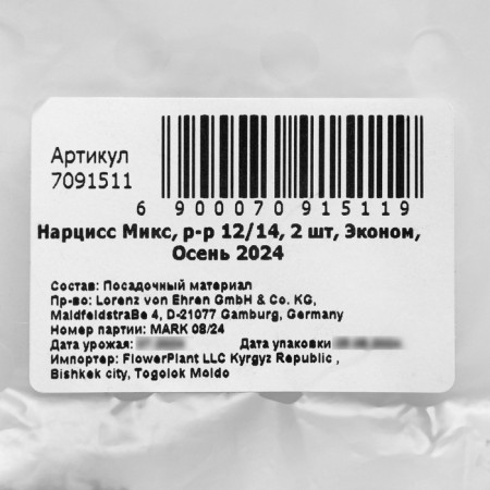 Narcissus Terry Mix, rr 12/14, 2 pcs, economy, autumn 2024-2