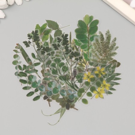 Stickers Plastic "Summer Green Leaves" set 40 pcs 15x8 cm-1
