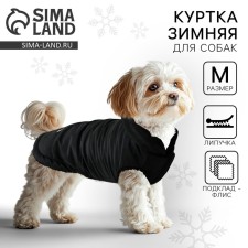 Clothing for dogs. Winter jacket 