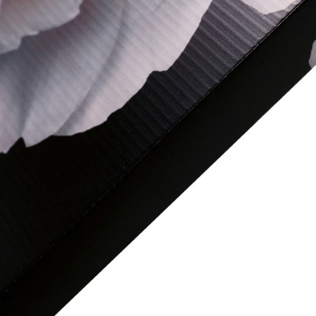 Picture on canvas "White Peony" 50x70 cm-1