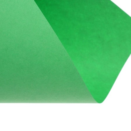 Color paper A4 250l Calligrata Pastel + intensive mix 10 -cv 80g/m2, barn-18