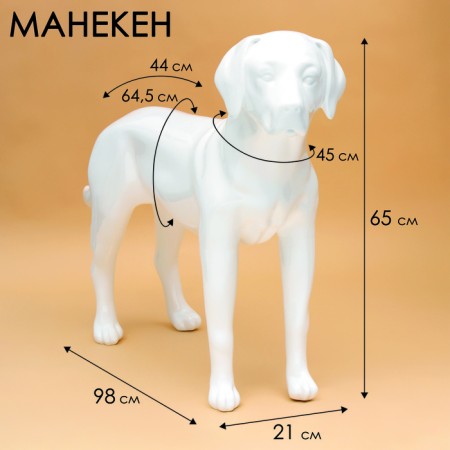 Dog mannequin, stagnant, collapsible, fiberglass, white