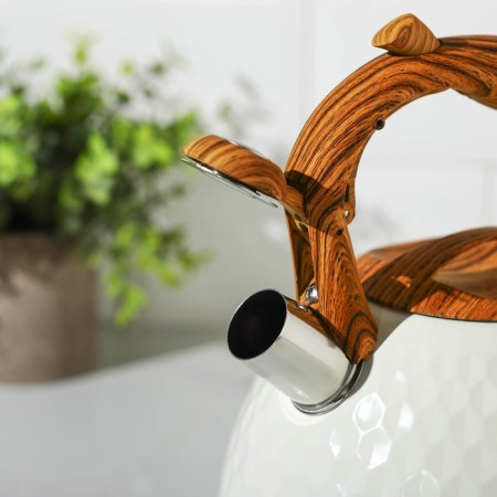 A kettle with a stainless steel whistle Magistro Heat, 3 L, TRS, Induction, Soft-Touch pen, white color-11