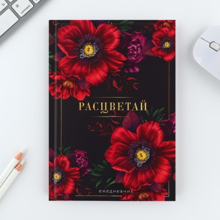 Set "Blave": pen and diary 80 sheets-2