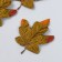 Decor for creativity "Maple leaf" set 4 pcs green 11.5x14 cm