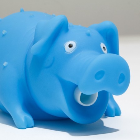The squeak of "Funny pig" for dogs, grunting, 19 cm, blue-7