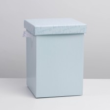 Folding box 