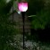 Garden lamp on the solar battery "pink", 4.5 × 29 × 4.5 cm, 1 Led, glow white
