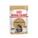 Wet feed RC Main Coon Saon, 85 g