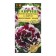 Petunia seeds "Piruet", purple with white, F1, 5 pcs