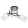 Lamp ceiling economy light 6195gk/2, 2x40W, E27, 29x31x51 cm, color chromium