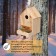 Birdland, 20 × 25 × 39 cm, with a bird feeder, Greengo