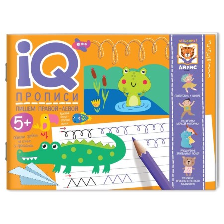 Package. A large IQ-game set for the development of attention and thinking-3