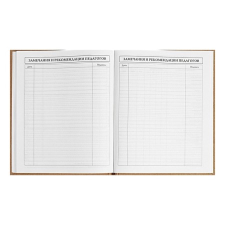 Universal Diary 5-11 classes, 48 ​​sheets "graffitist", craft, solid cover, foil embossing, block 65g/m2-8