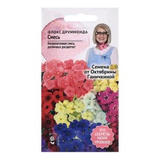 Flower seeds Flox Drummond 