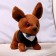Soft toy "Chihuahua Robi" in clothes, 20 cm